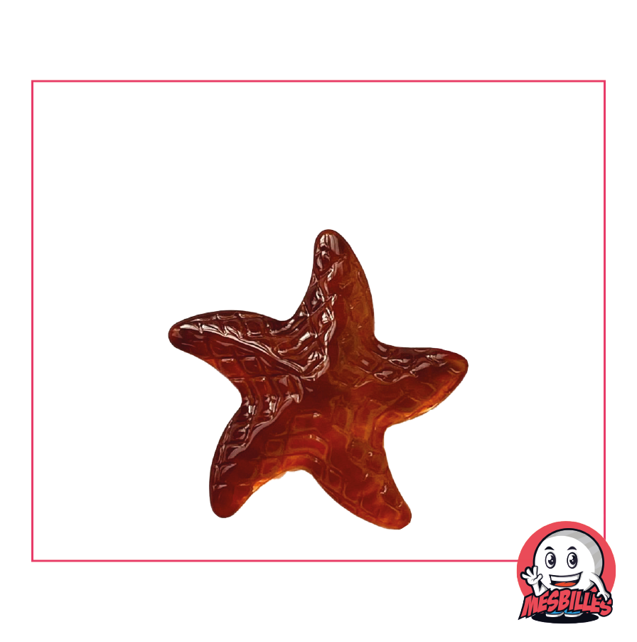 Marble Starfish extra-flat in translucent amber glass, size 25 mm - My-Glassmarbles