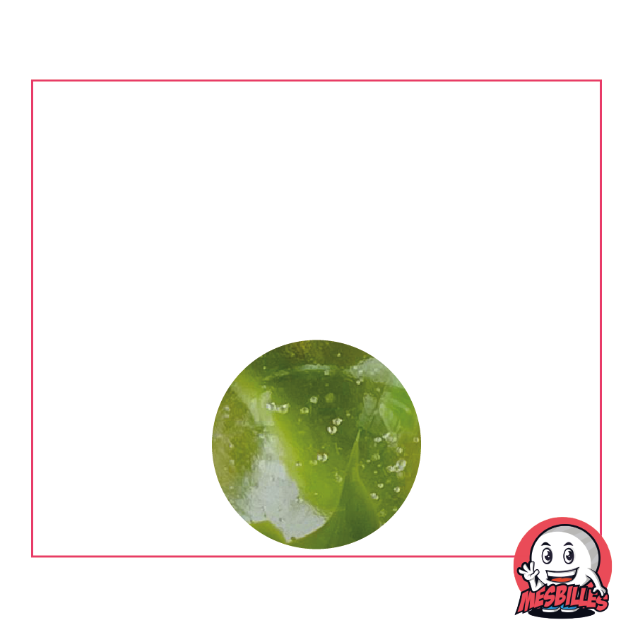 Marble Water Lily 14 mm - Translucent Crystal Glass with Green stripes