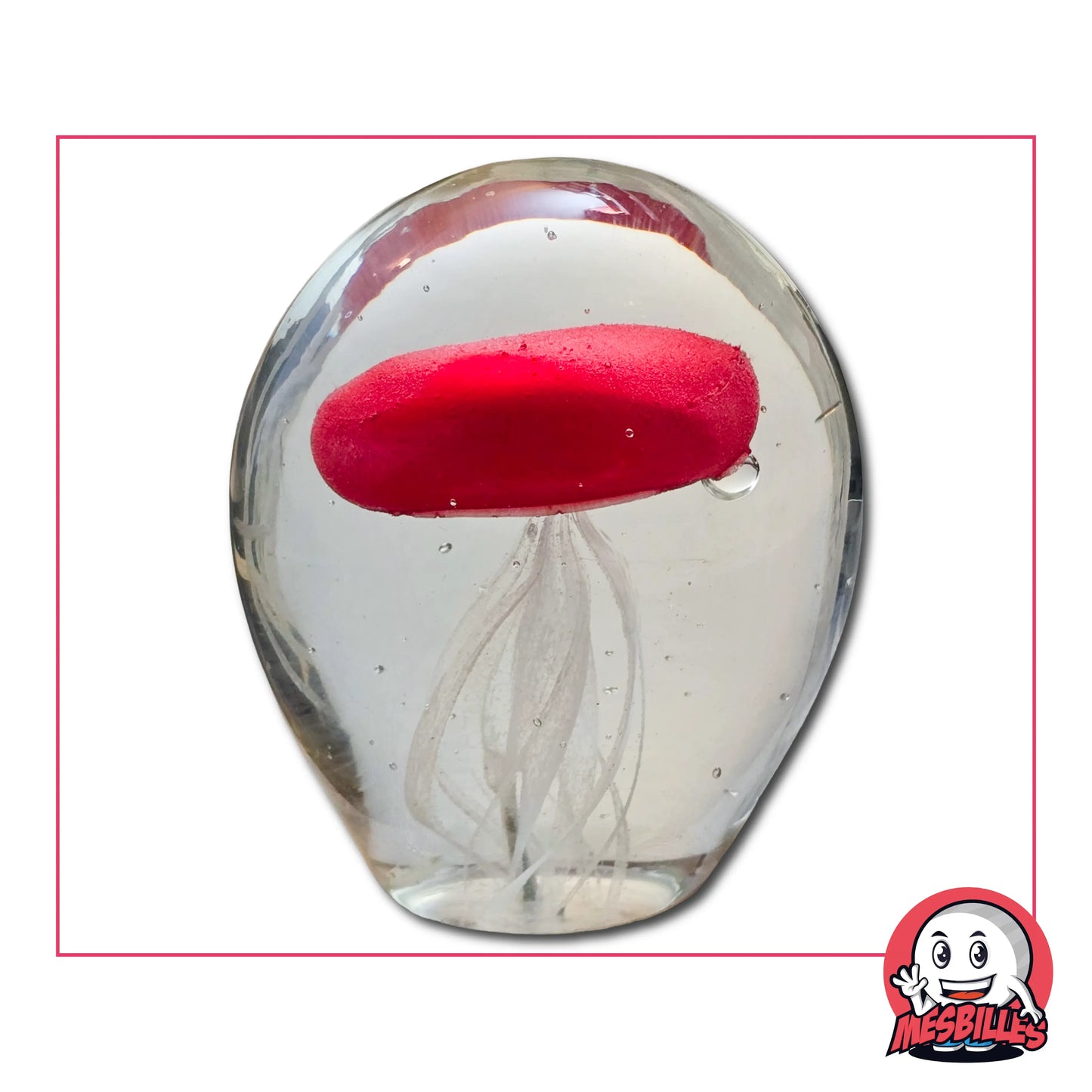 1 Small Marble Jellyfish Glows in the Dark