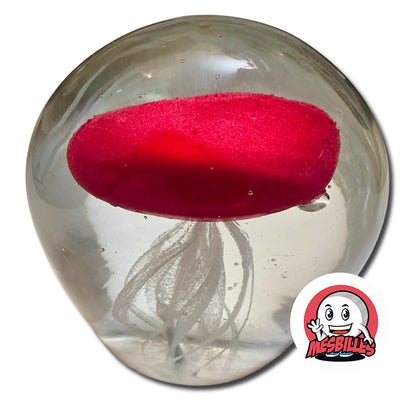 1 Small Marble Jellyfish Glows in the Dark