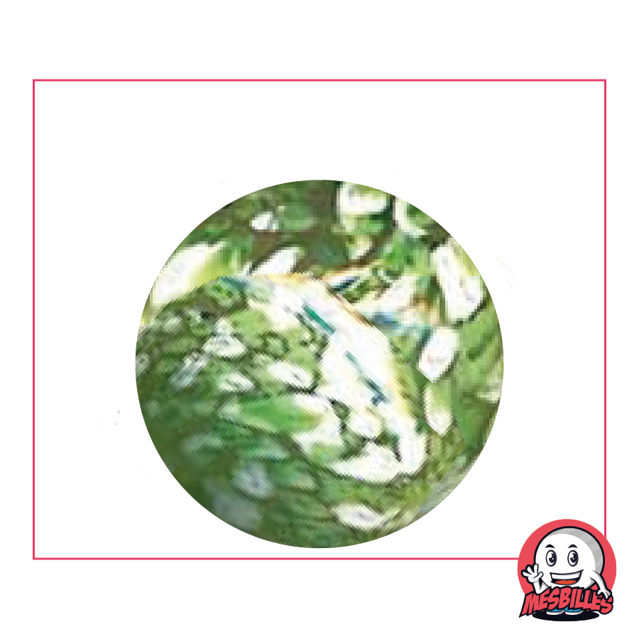 1 Green Flyer Marble 35 mm